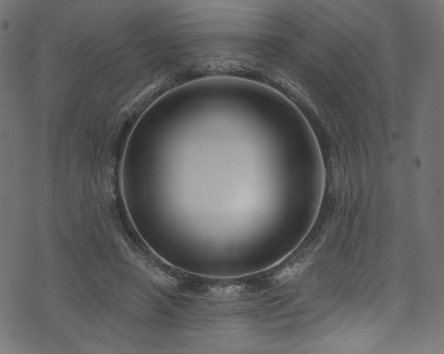 X0000074040450200608281449