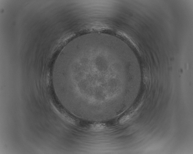 X0000074040451200608281449