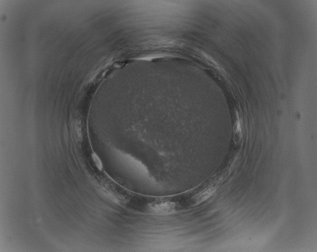 X0000074040452200608281449