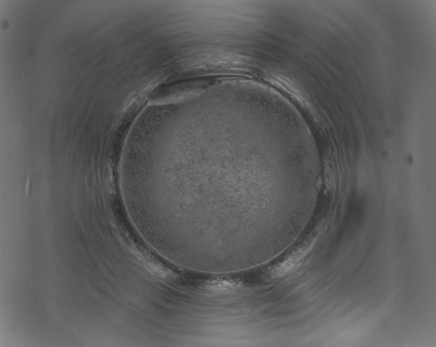 X0000074040453200608281449