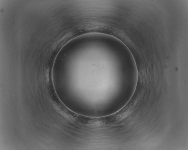 X0000074040454200608281449