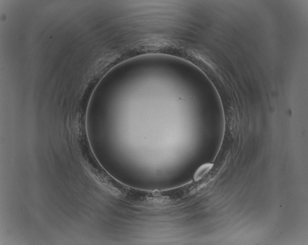 X0000074040455200608281449