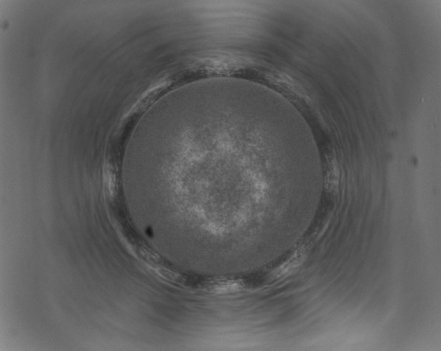 X0000074040456200608281449