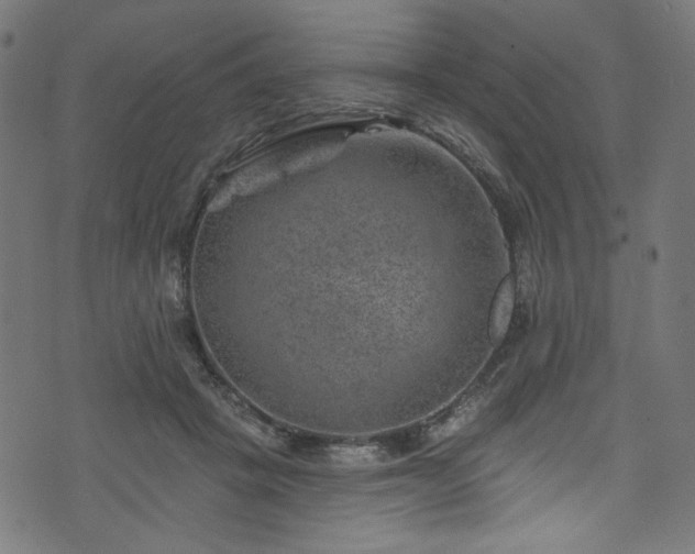 X0000074040457200608281449