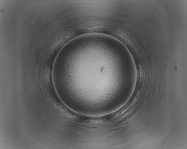 X0000074040458200608281449