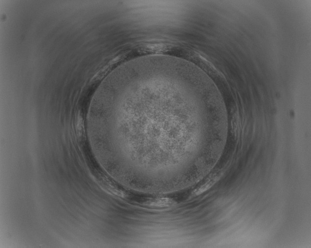 X0000074040459200608281449