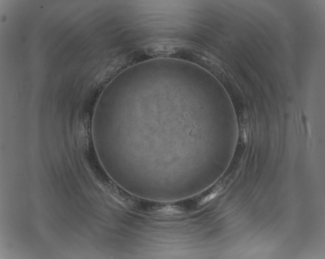 X0000074040460200608281449