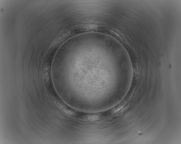 X0000074040462200608281449