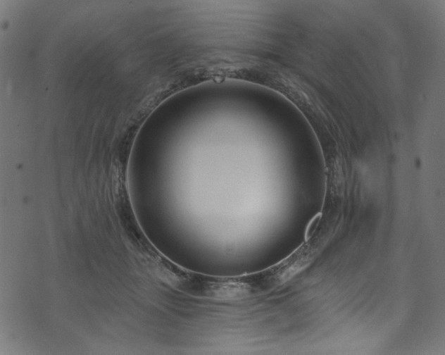 X0000074040463200608281449