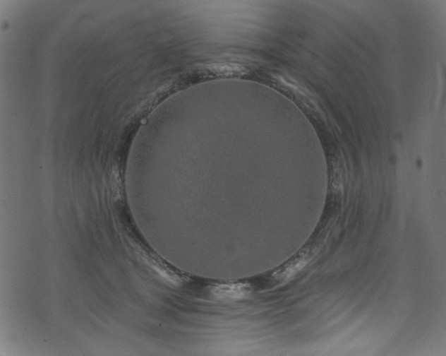 X0000074040465200608281449