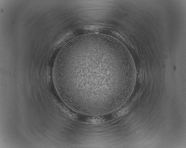 X0000074040466200608281449