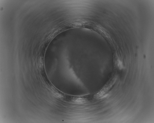 X0000074040467200608281449