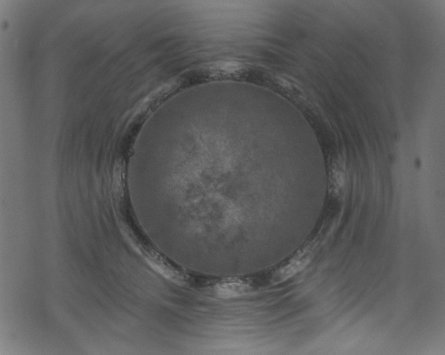 X0000074040468200608281449