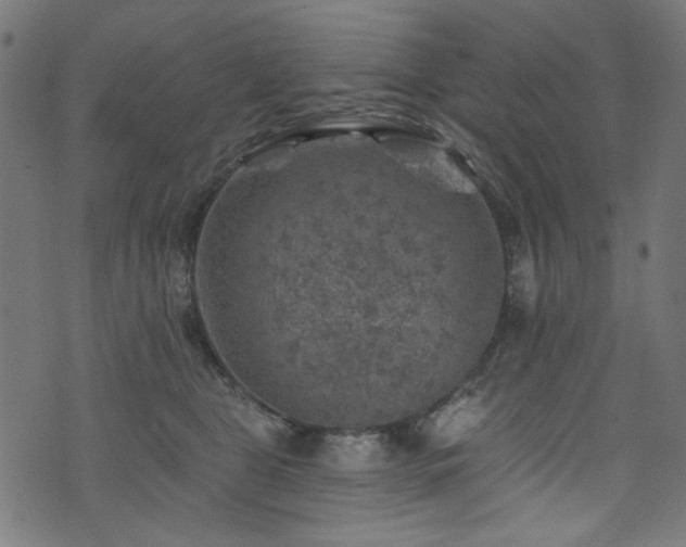 X0000074040469200608281449