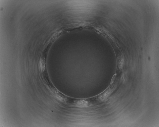 X0000074040471200608281449