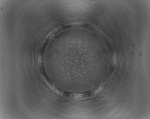 X0000074040472200608281449