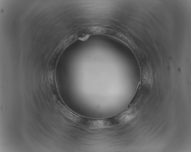 X0000074040473200608281449