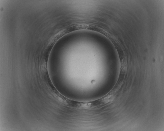 X0000074040474200608281449