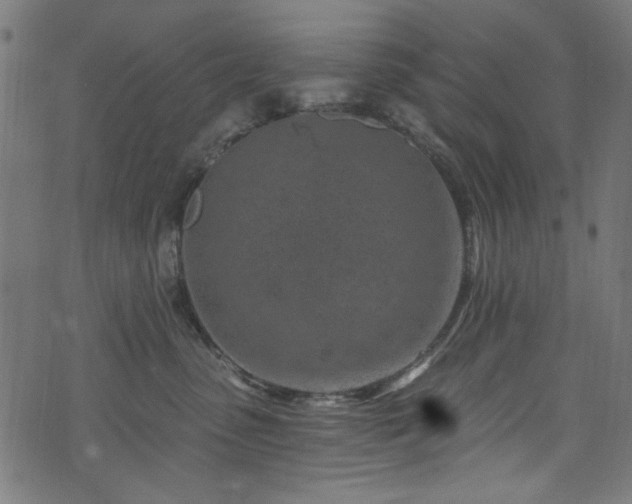 X0000074040475200608281449