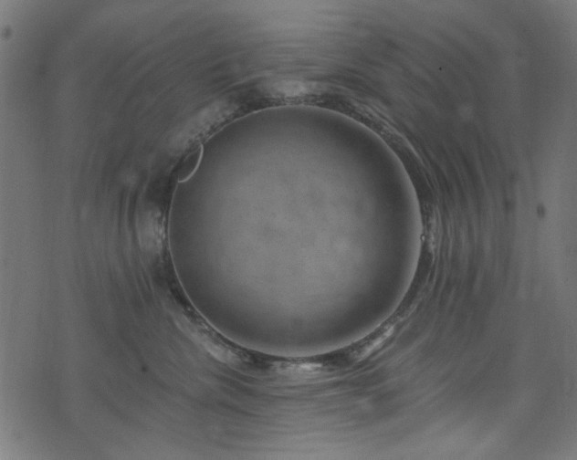 X0000074040476200608281449