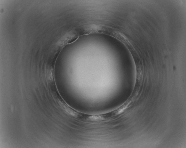 X0000074040477200608281449