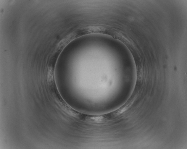 X0000074040478200608281449