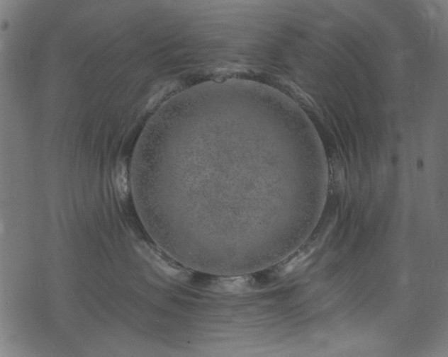 X0000074040479200608281449