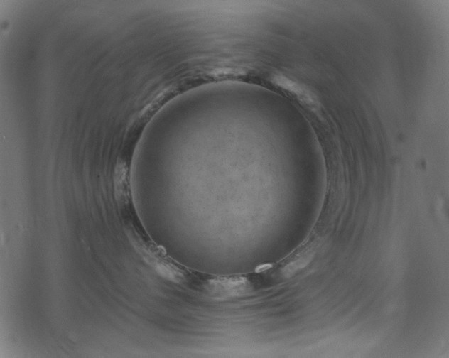 X0000074040480200608281449