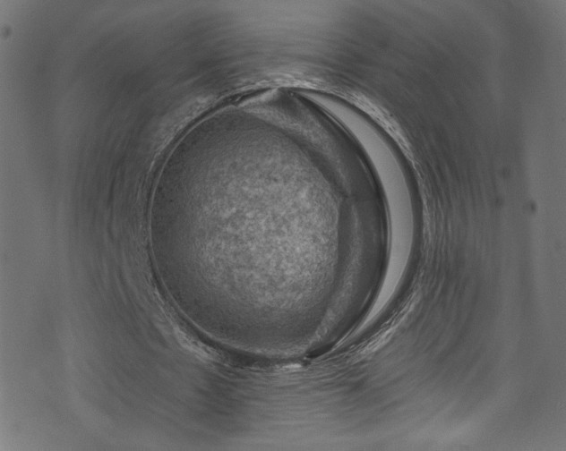 X0000074040481200608281448