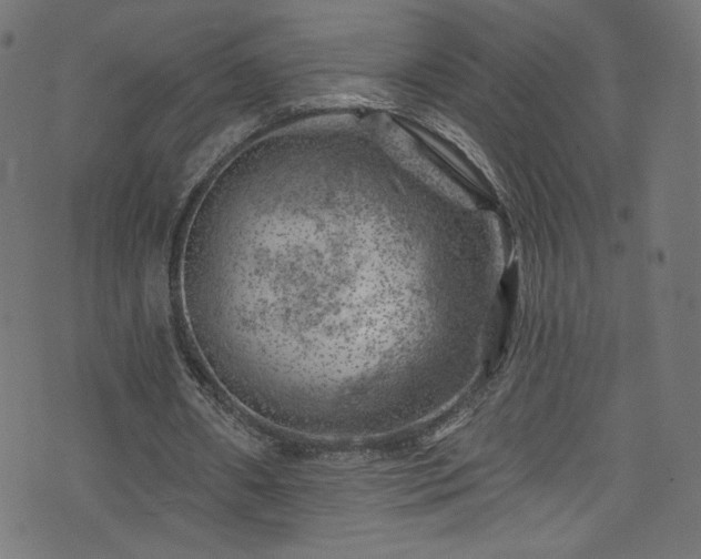 X0000074040482200608281448