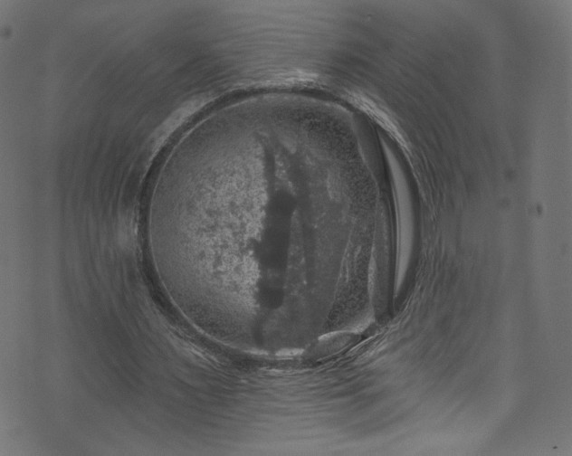 X0000074040483200608281448