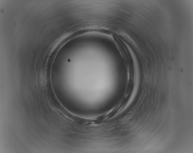 X0000074040484200608281448