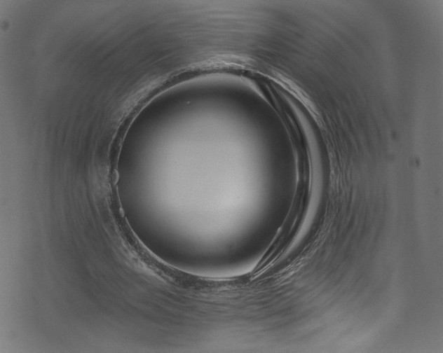 X0000074040485200608281448