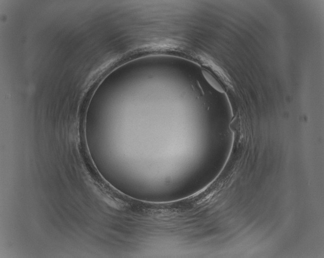 X0000074040486200608281448