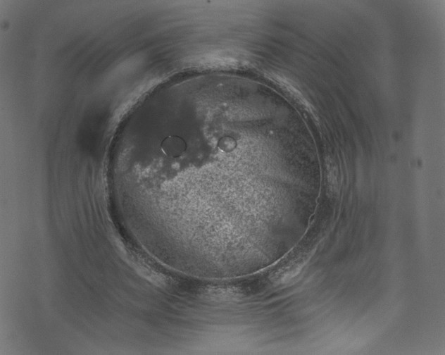 X0000074040487200608281448