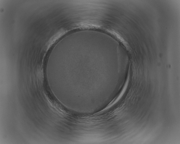 X0000074040488200608281448