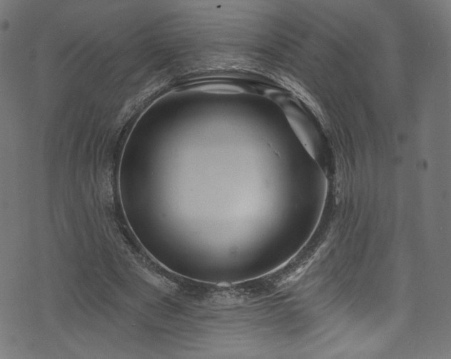 X0000074040489200608281448