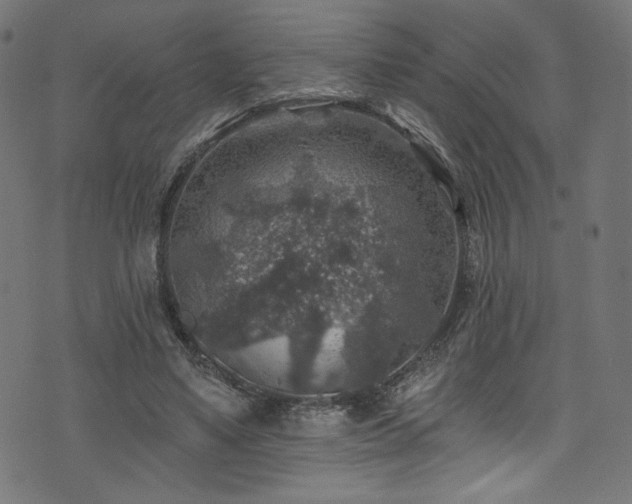 X0000074040491200608281448