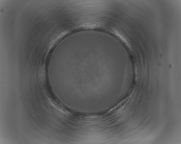 X0000074040492200608281448