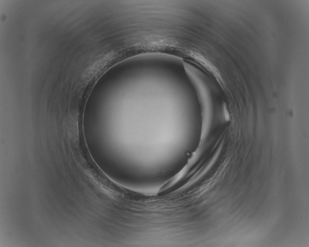 X0000074040493200608281448