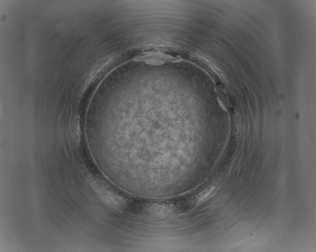 X0000074040494200608281448