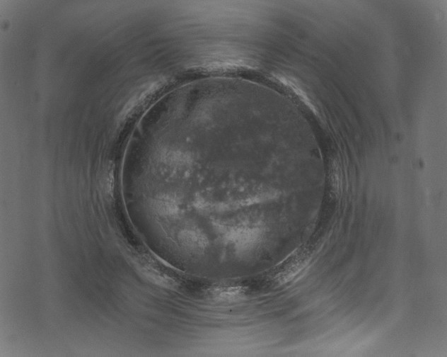 X0000074040495200608281448