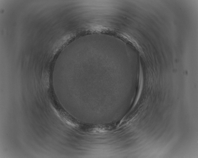 X0000074040496200608281448