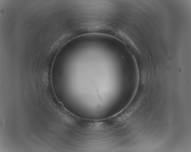 X0000074040497200608281448