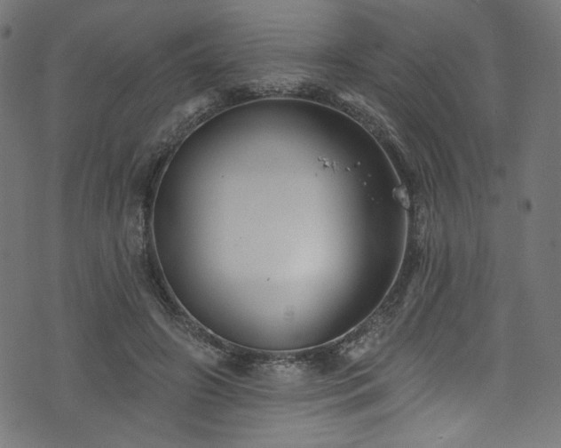 X0000074040498200608281448