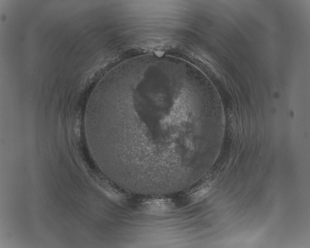 X0000074040499200608281448