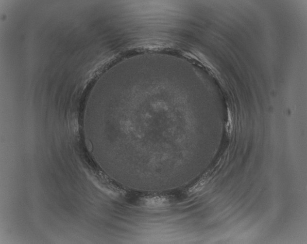 X0000074040500200608281448