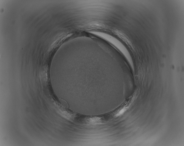 X0000074040501200608281448