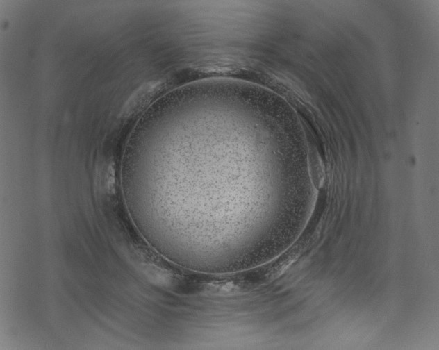 X0000074040502200608281448