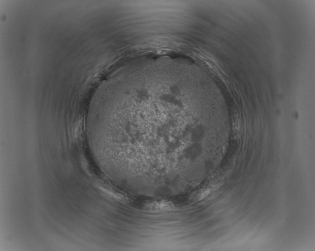 X0000074040503200608281448